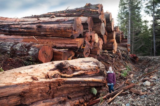 Port Hardy - Island Timberlands