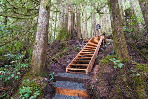 New stairs and entranceway to the Upper Grove.