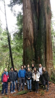 Training guides to lead "Chinese-Language Ancient Forest Tours"