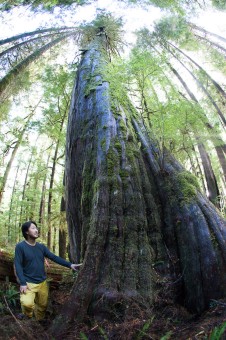 Ken with a giant redcedar tree near Port Renfrew.