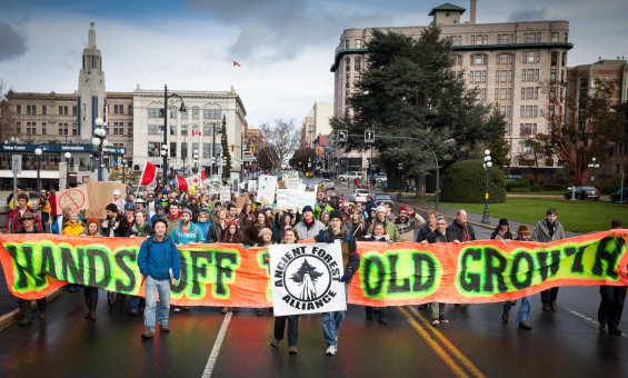 Ken leading a Rally for Ancient Forests in Victoria.