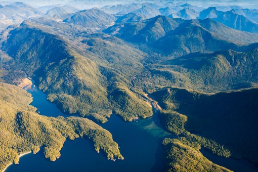 Before any logging took place in the lower valley (2013)