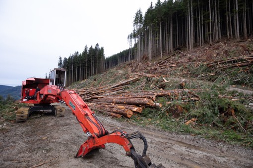 Clearcut logging on Edinburgh Mountain.