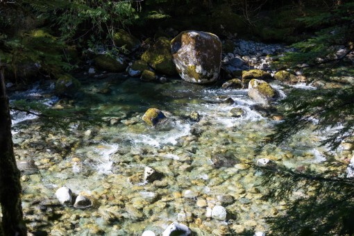 Loup Creek - Port Renfrew