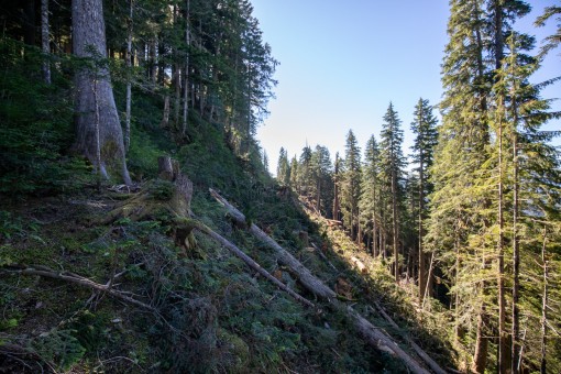 Road construction on steep slopes.