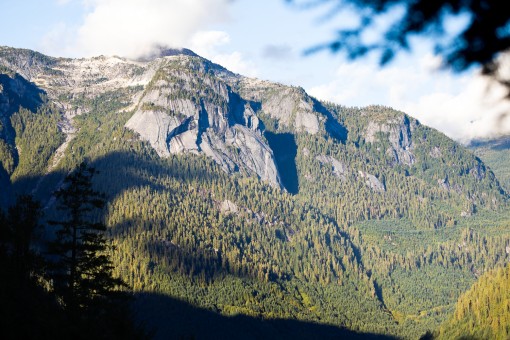 The famed Amon Rudh climbing wall with some of the last stands of old-growth forests in the valley along it's base.