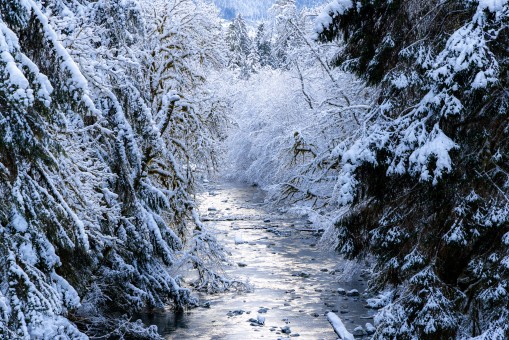 Renfrew Creek