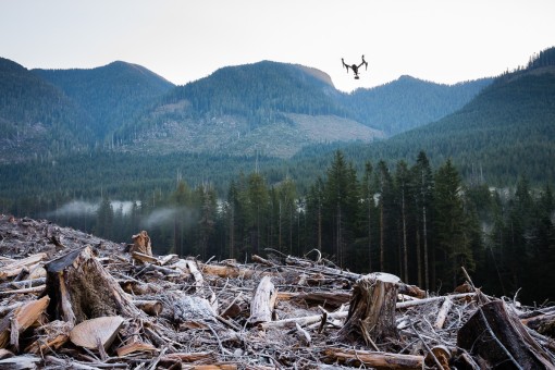 Gathering drone footage of an old-growth forest clearcut on Edinburgh Mountain near Port Renfrew.