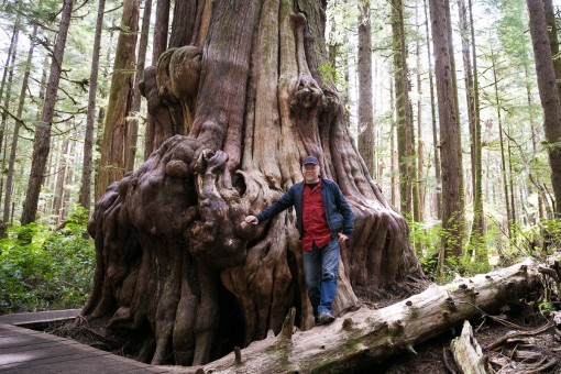 Renowned photographer and artist Edward Burtynsky at the giant cedar in the Lower Avatar Grove near Port Renfrew.