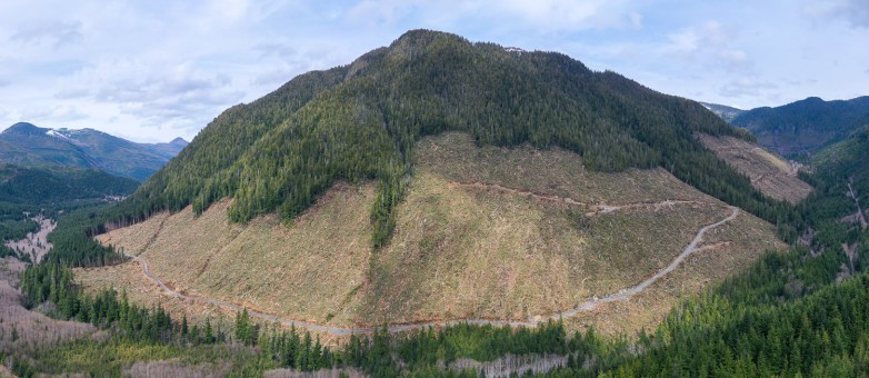 Massive old-growth clearcuts totalling 50 hectares by BC Timber Sales, the government’s own logging agency, in the Mahatta River in Quatsino territory on northwestern Vancouver Island.