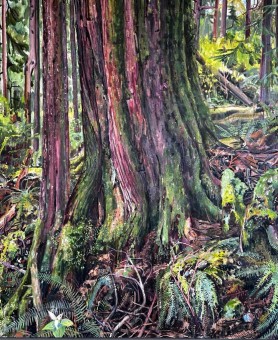 "Black flies and Trilliums", painting by Jeremy Herndl. Proceeds from the sale of this painting will go towards the protection of endangered old-growth.