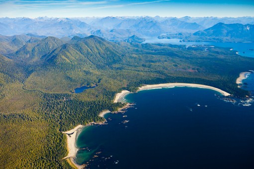 An aerial view over the old-growth forests of Flores Island in Ahousaht territory, Clayoquot Sound, British Columbia. (TJ Watt/Ancient Forest Alliance)