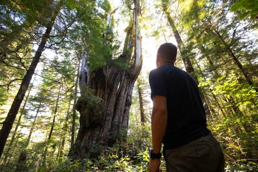 Ahousaht Hereditary Chief Tyson Atleo stands in front of the "most impressive tree in Canada" on Flores Island.