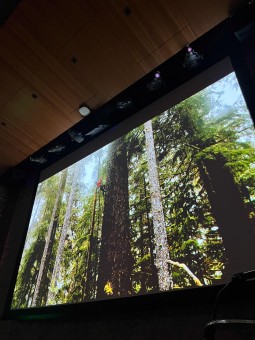 Showing the Giant Treehunters film.
