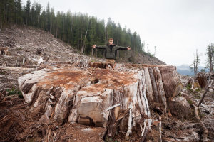 Klanawa Valley - TFL 44 - Western Forest Products