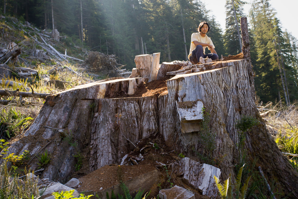 Biggest Stumps - Ancient Forest Alliance