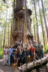 Avatar Grove Boardwalk launch