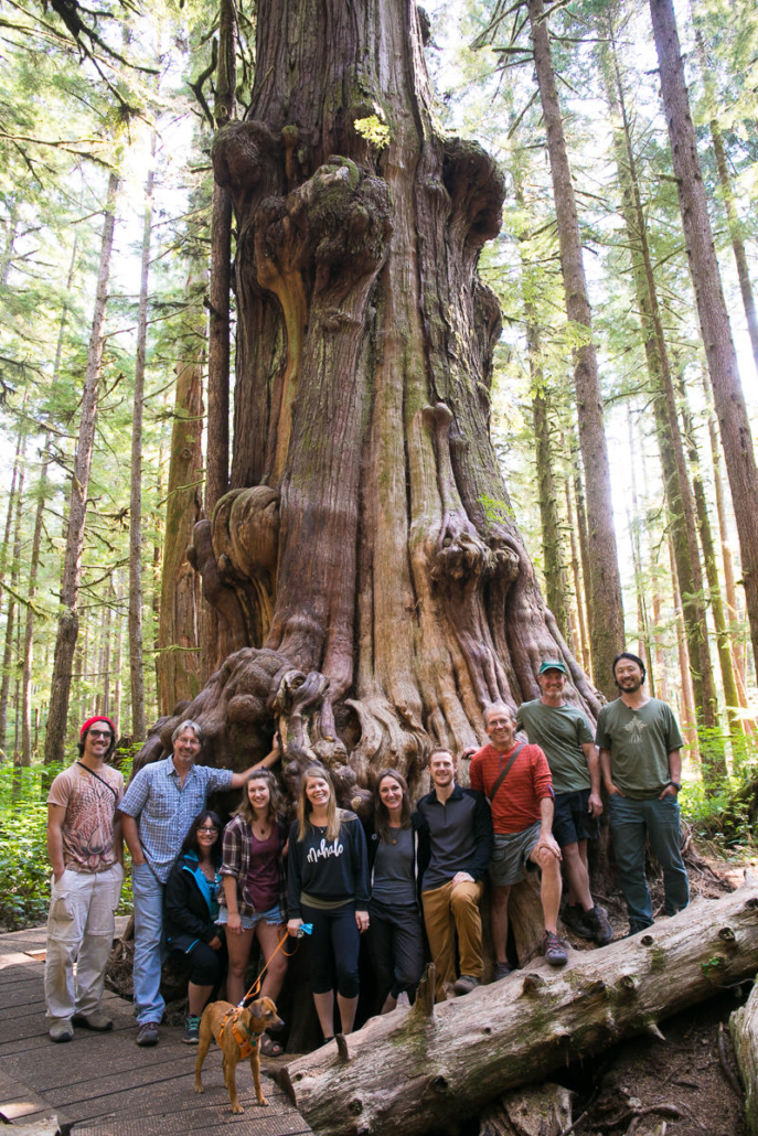 Avatar Grove Boardwalk launch