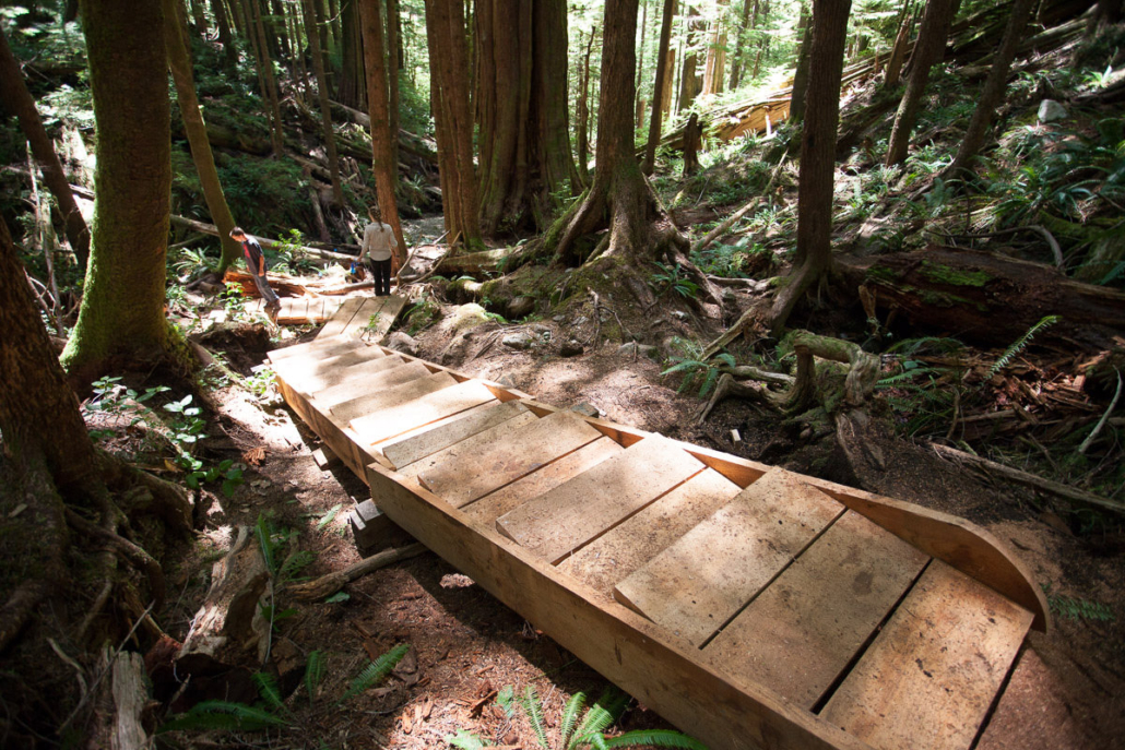 Avatar Boardwalk - Ancient Forest Alliance