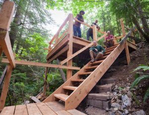 New entranceway and viewing platform for the Lower Avatar Grove.