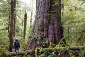 Andrea in the Eden Grove