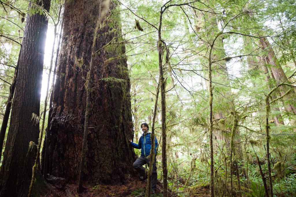 EEA's Ken Wu, wearing a blue jacket and grey pants, stands beside a massive Douglas-fir tree surrounded by the lush green foliage of the unprotected Eden Grove.