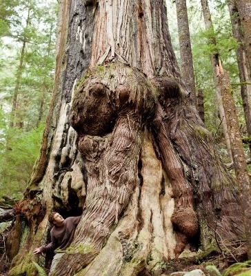 The 'Gnarly Clark'