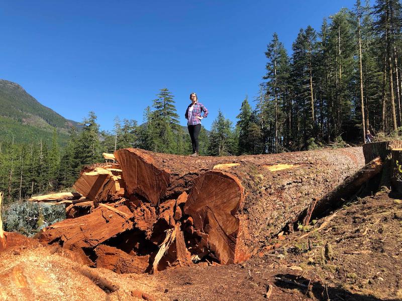 Ancient Forest Alliance campaigner Andrea Inness stands atop Canada's 9th-widest Douglas-fir tree
