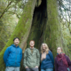 Photo attached (media are free to reprint):  From left to right - AFA Executive Director Ken Wu; Campaigner and Photographer TJ Watt; Admin Director Joan Varley; Researcher and Writer Hannah Carpendale. Taken at hollow old-growth cedar at Goldstream.