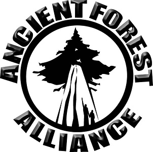 Organise a Fundraiser for the Ancient Forest Alliance