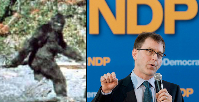 “The NDP’s environment platform is like a blurry moving sasquatch video in regards to potential old-growth forest protections and park creation – you can’t discern if it’s real and significant