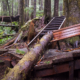 A section of boardwalk damaged in the Lower Grove by a falling hemlock tree.