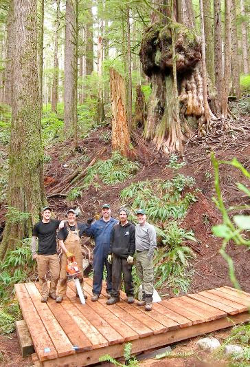 AFA's TJ Watt (far left) with volunteers at the first viewing platform they built by Canada’s Gnarliest Tree in the Upper Grove of Avatar Grover in Port Renfrew.