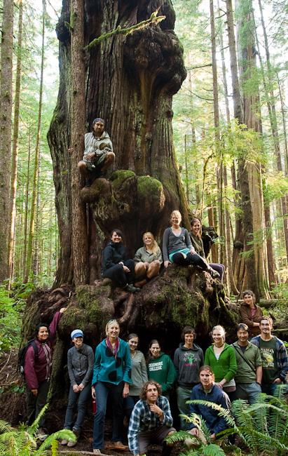 Hikers gather around the largest alien shaped cedar in the Lower Avatar Grove