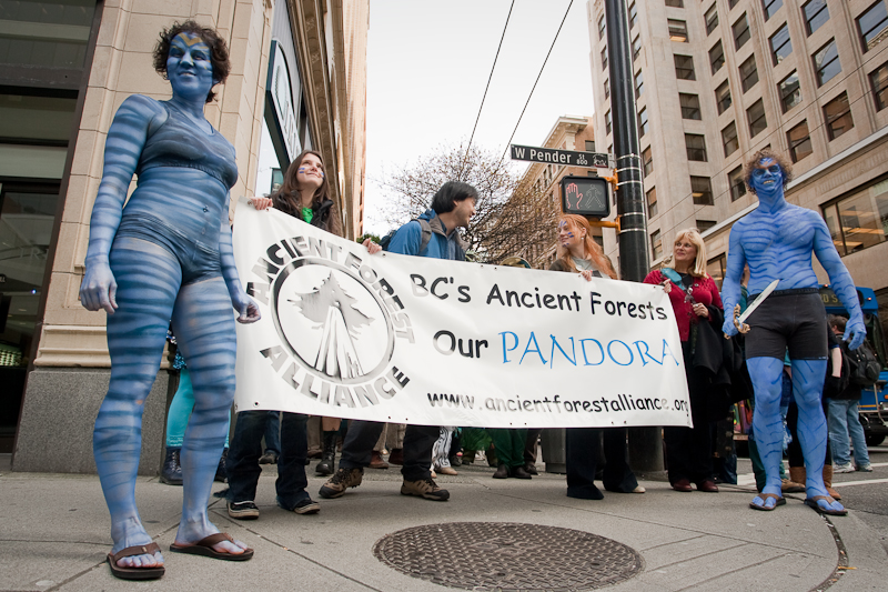 Na'vi characters rally for BC's old-growth forests on the streets and sidewalks of Vancouver.