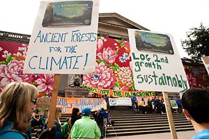 Week of Action for Ancient Forests – MLA Office Pickets This Week!