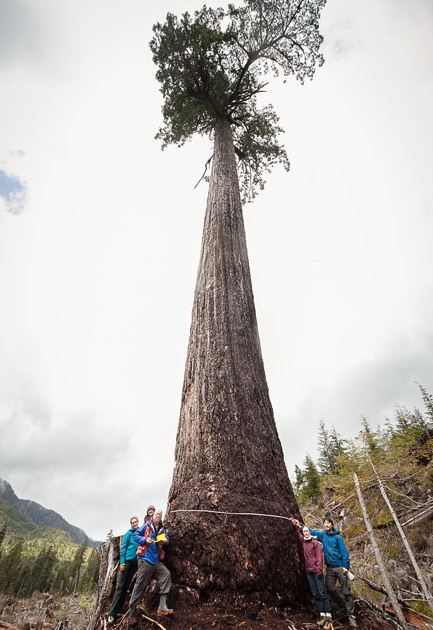 Renowned forest ecologist Andy MacKinnon (left) stands with members of the AFA after measuring Big Lonely Doug.