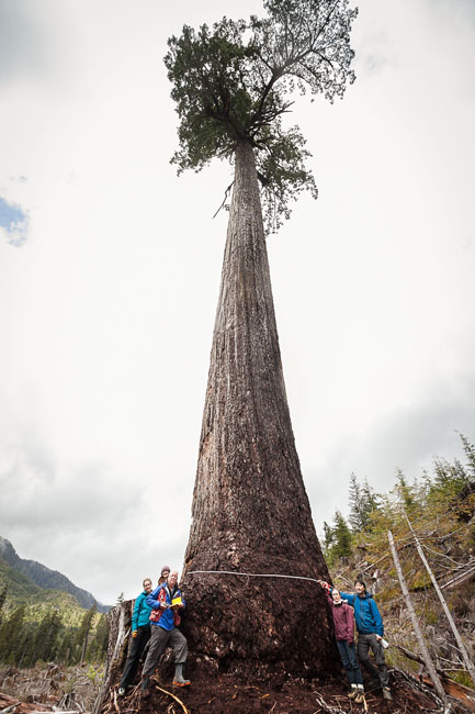 Renowned forest ecologist Andy MacKinnon (left) stands with members of the AFA after measuring Big Lonely Doug.