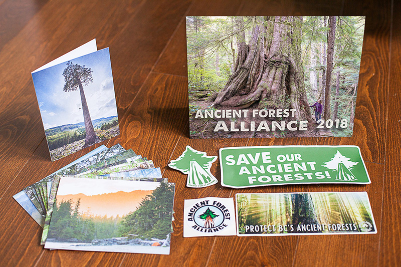 Photo: Ancient Forest Giftpack (calendar