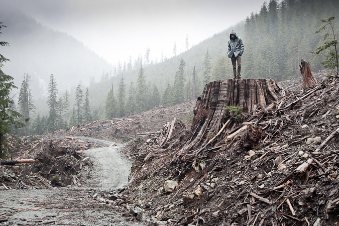URGENT:  STOP the BC Liberal Government’s Proposed Forest Giveaway THIS WEEK!