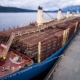A ship loaded with raw logs headed for Japan sits docked in Port Alberni on Feb 24