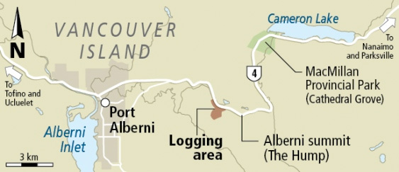 A map detailing the area of planned logging.