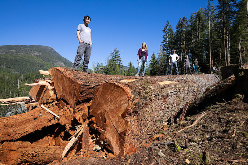 The AFA's Ken Wu and local Port Alberni conservationists stand atop Canada's 9th-widest Douglas-fir tree