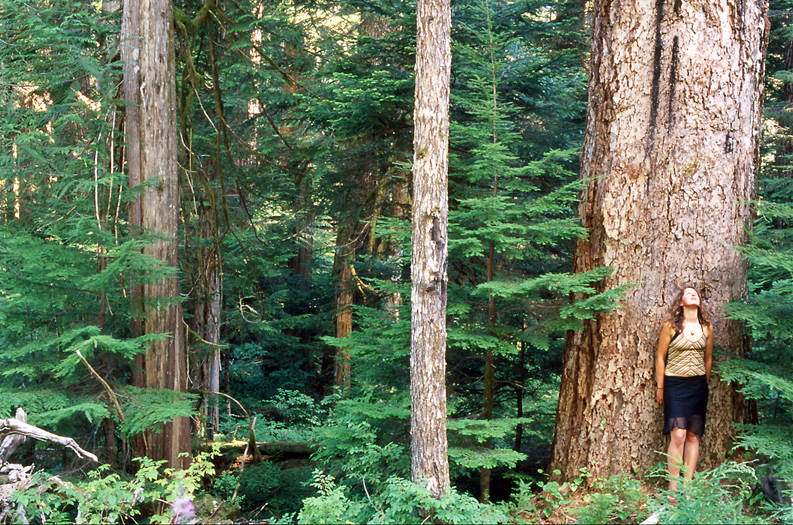 The Nahmint Valley near Port Alberni has some of the last remaining tracts of unprotected old-growth Douglas fir forests.