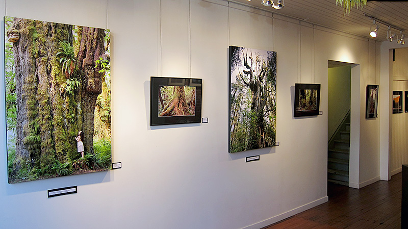 A sneek peek at some of TJ Watt's photos on display and for sale at Dales Gallery until Friday