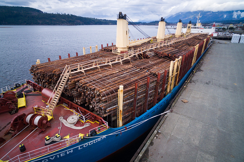 A ship loaded with raw logs sits docked in Port Alberni on Feb 24