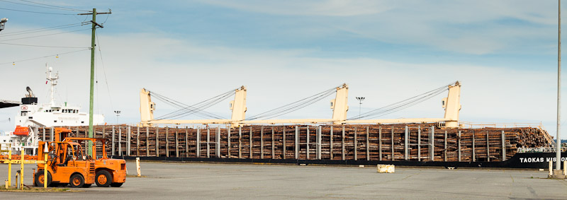 A ship loaded with raw logs awaiting export. Nanaimo