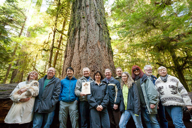 MLA Scott Fraser receiving his award at Cathedral Grove alongside the Ancient Forest Alliance and many other important local supporters!