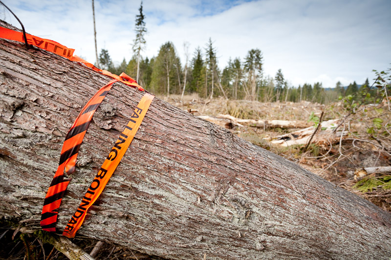 Logging by Island Timberlands in Powell River