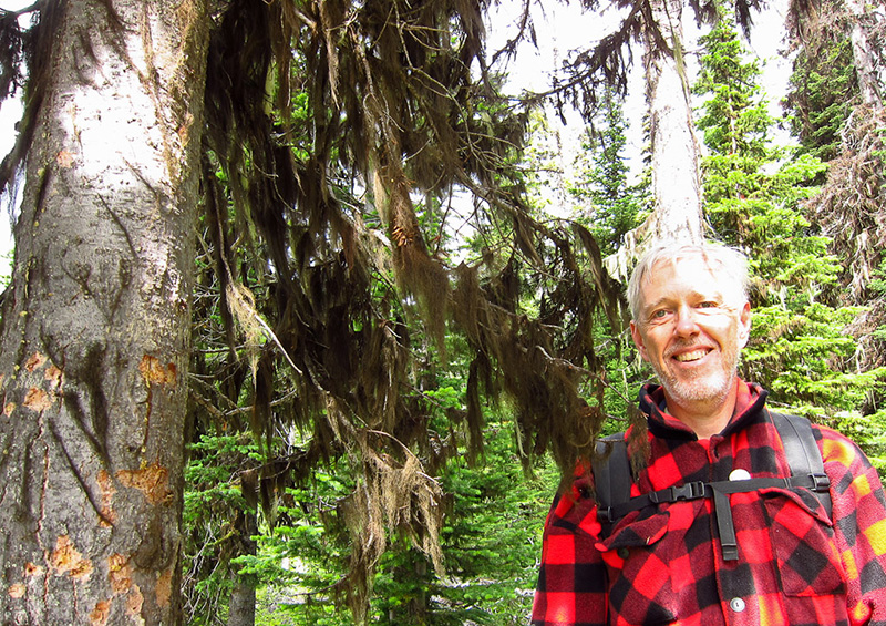 Renowned lichenologist Trevor Goward stands beside the new species of Bryoria or "horsehair lichen" he discovered. To place a bid for the naming rights to this species visit:  https://www.charitybuzz.com/categories/43/catalog_items/272986